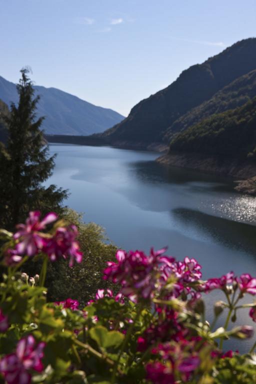 Hotel Al Lago Vogorno ภายนอก รูปภาพ